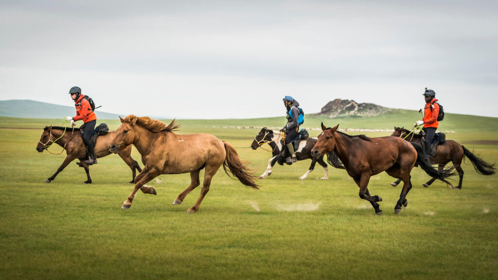 Mongol Derby