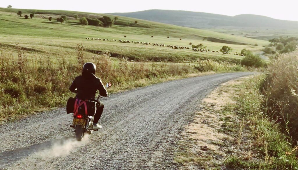 Monkey Run Romania - Matt