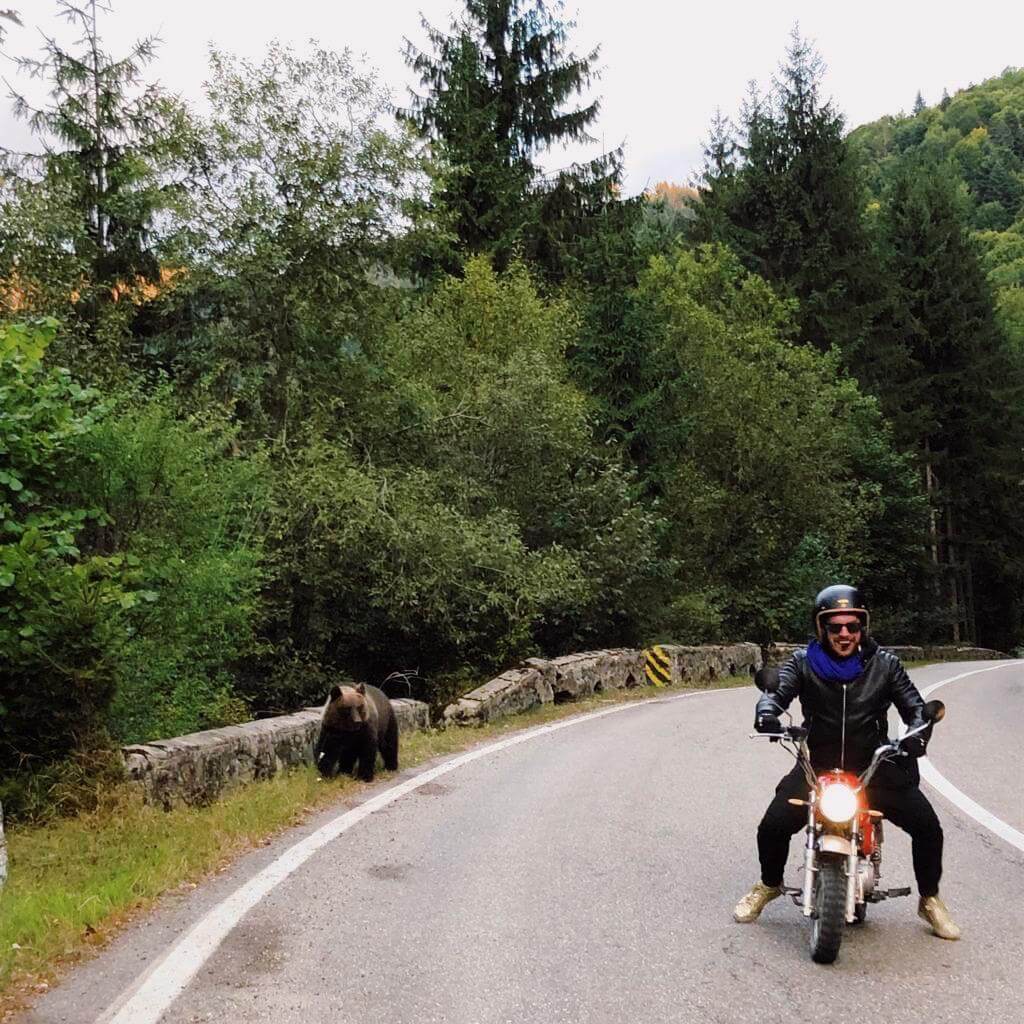 Monkey Run Romania - Matt by Victor