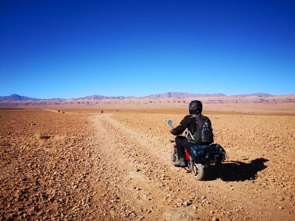 Monkey Run Morocco January 2020