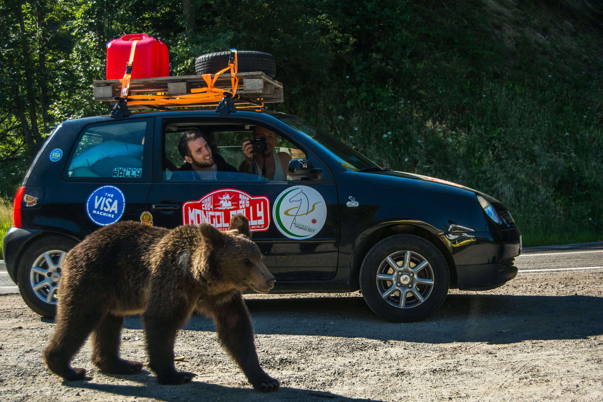 Romanian bear on the Mongol Rally by Eric Curtis Jackson