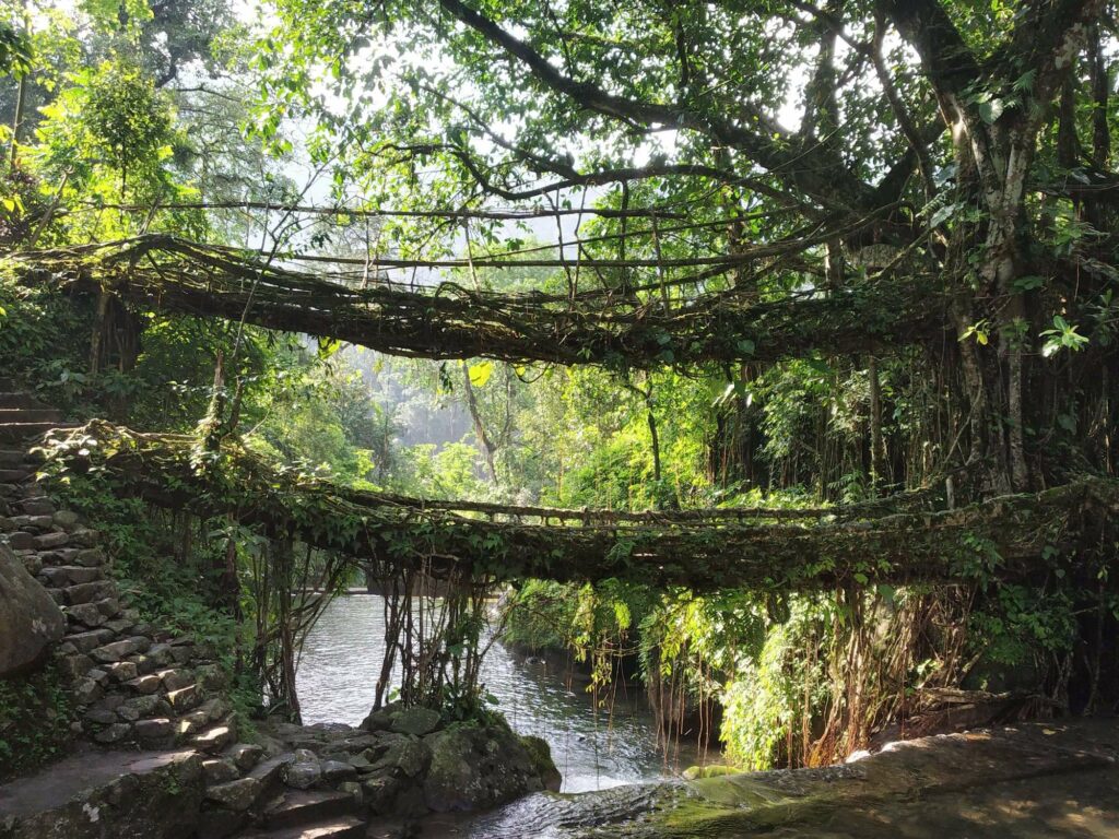 Rope bridge in Meghalaya - Rickshaw Run Northeast