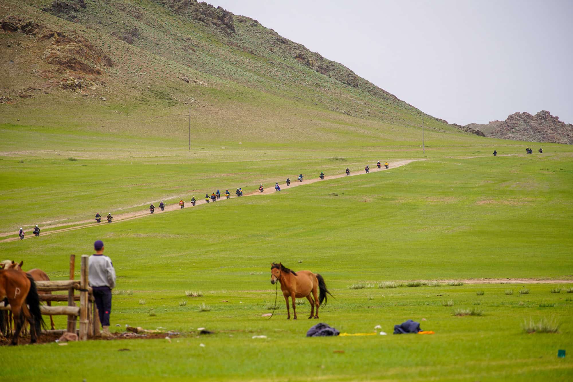 Monkey Run Mongolia