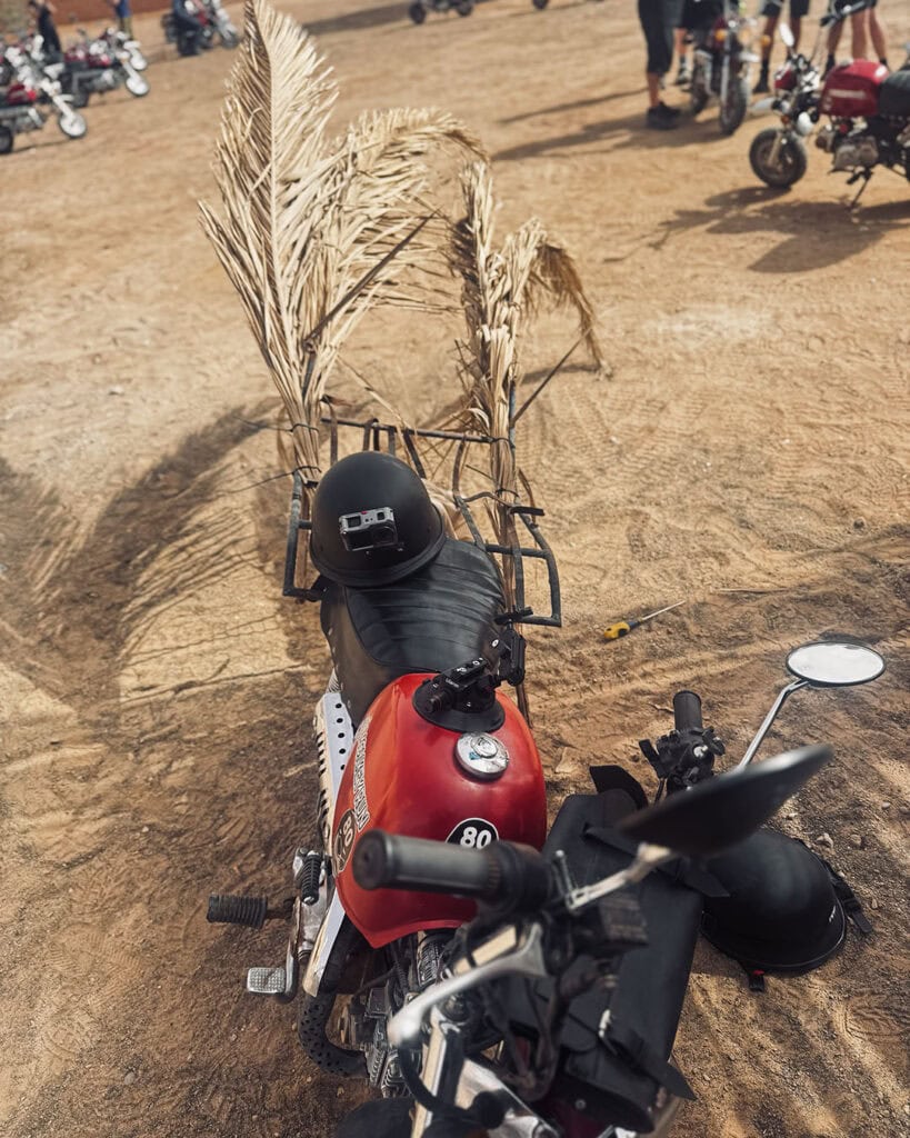 A rack made from papyrus. Cunning. Monkey Run Morocco October 2025.