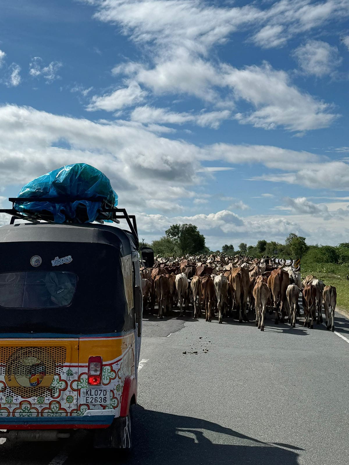 Team Dwerja2India experiencing the local traffic jams, Rickshaw Run September 2025.